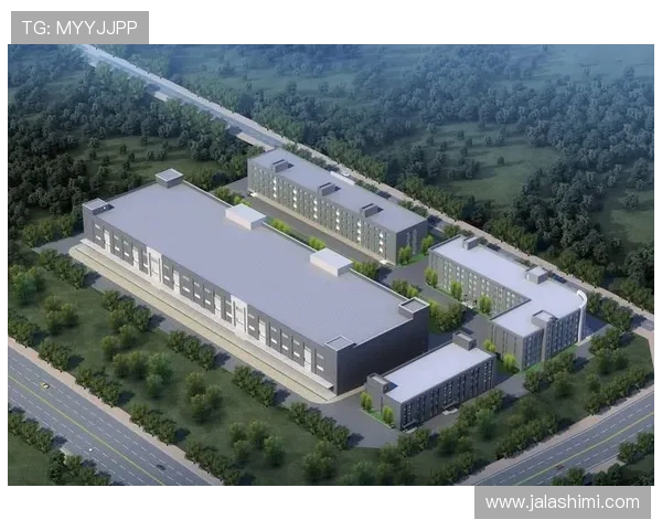 凯发集团旗下的公司:探讨其未来发展战略及在新兴市场的布局计划